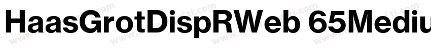 HaasGrotDispRWeb 65Medium字体转换